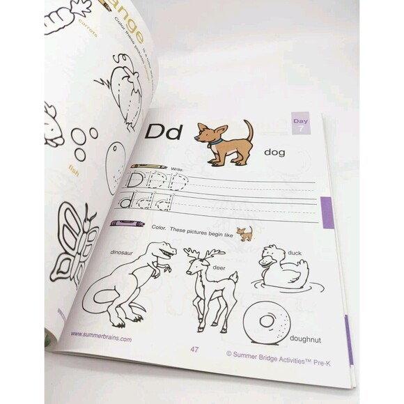 Summer Bridge Activities P-K Reading Writing Arithmetic Language Skill Preschool - Picture 3 of 7